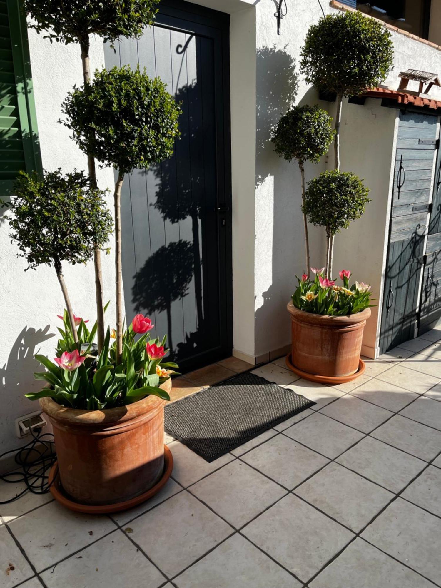 Skylark Bed&Breakfast Grasse Eksteriør bilde