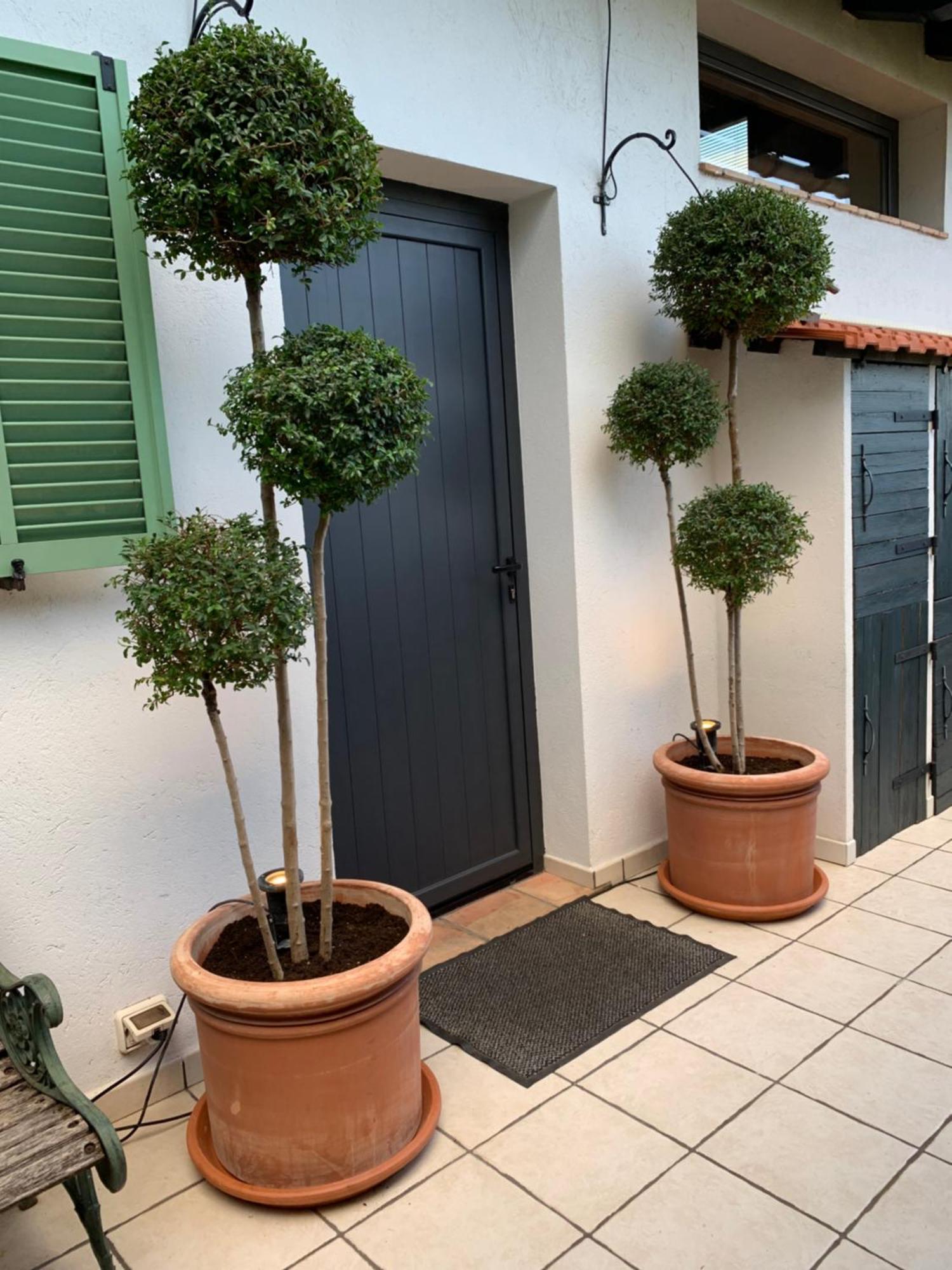 Skylark Bed&Breakfast Grasse Eksteriør bilde