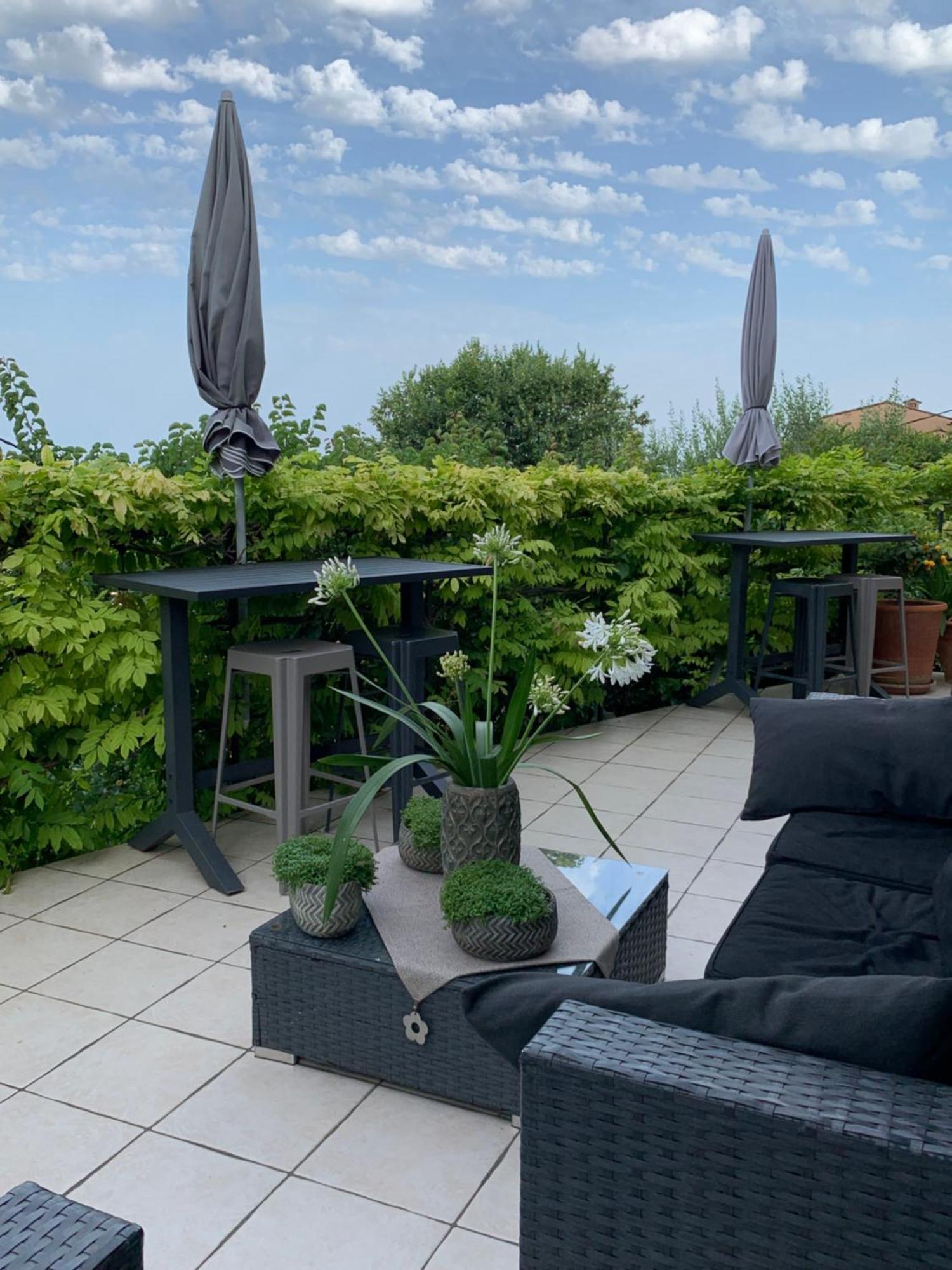 Skylark Bed&Breakfast Grasse Eksteriør bilde