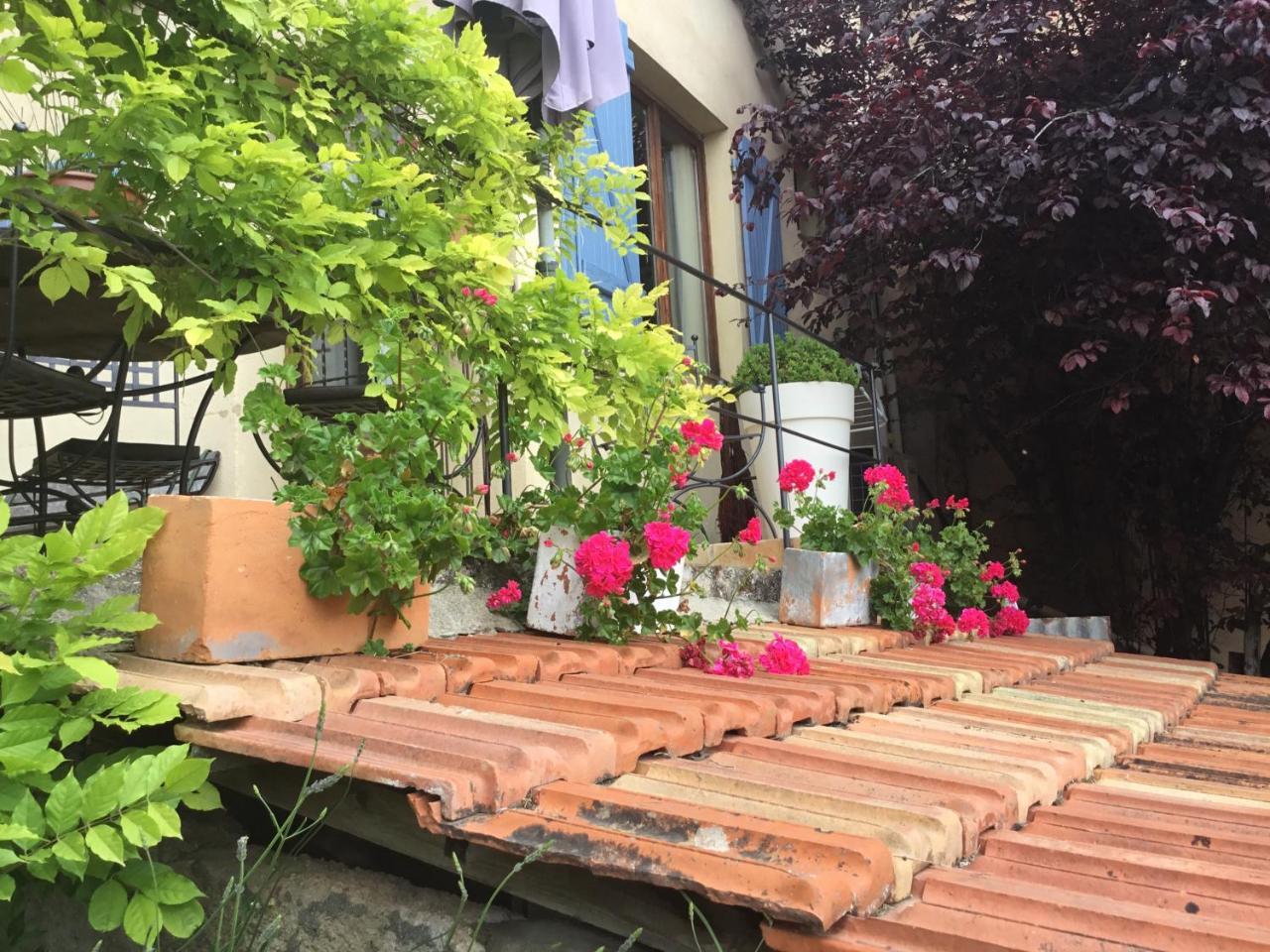 Skylark Bed&Breakfast Grasse Eksteriør bilde