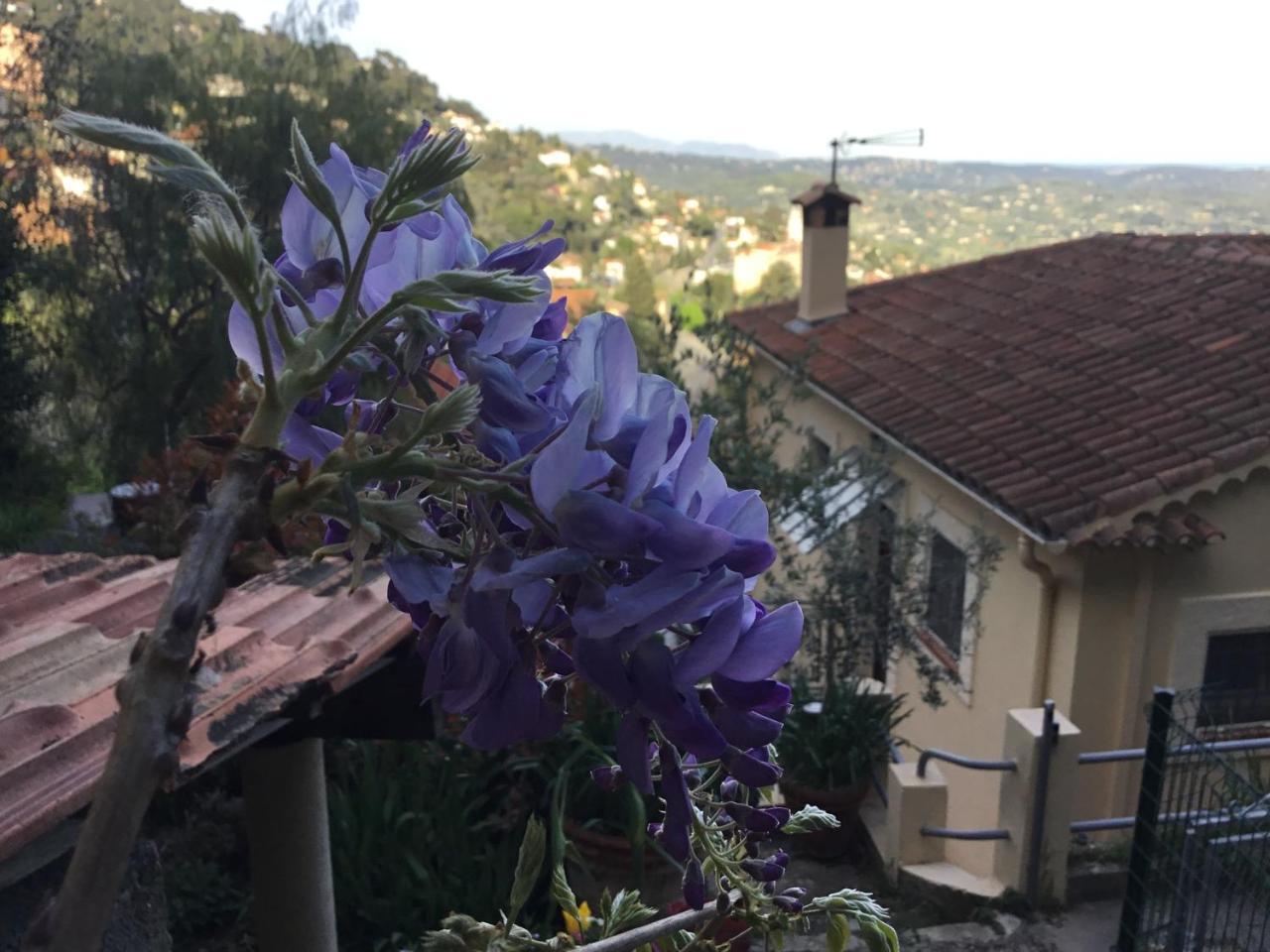 Skylark Bed&Breakfast Grasse Eksteriør bilde