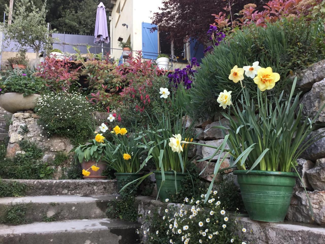 Skylark Bed&Breakfast Grasse Eksteriør bilde