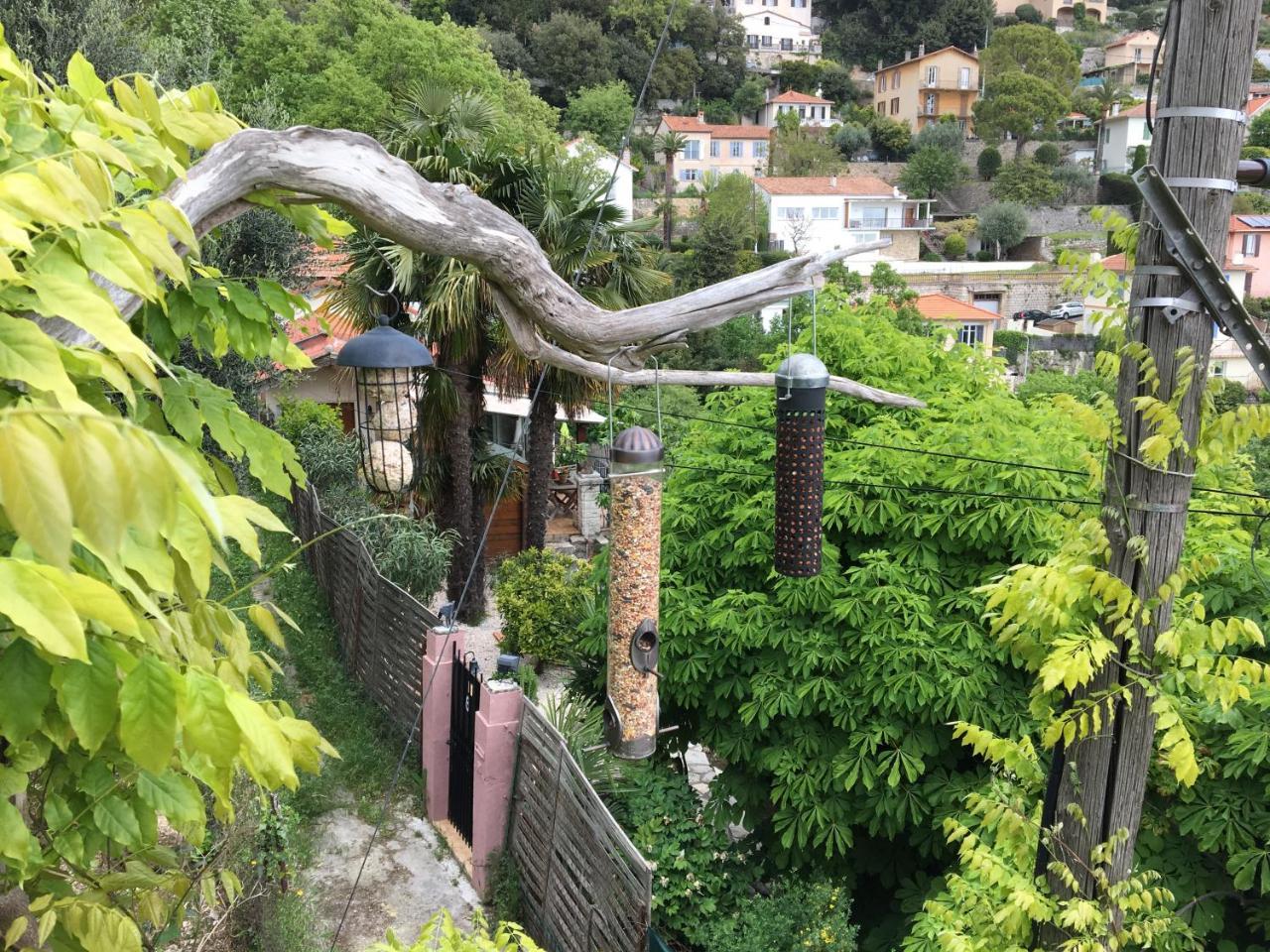Skylark Bed&Breakfast Grasse Eksteriør bilde