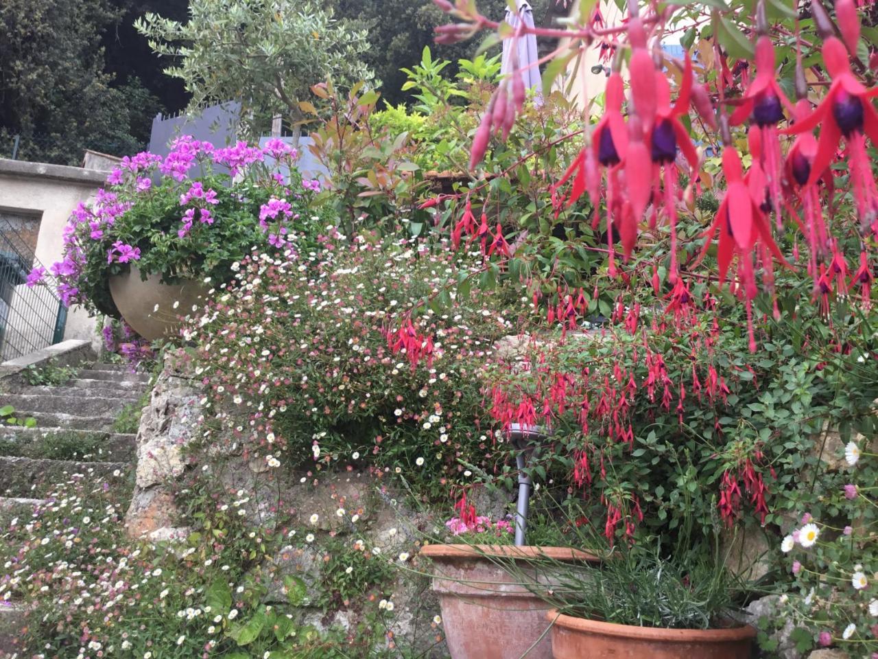 Skylark Bed&Breakfast Grasse Eksteriør bilde