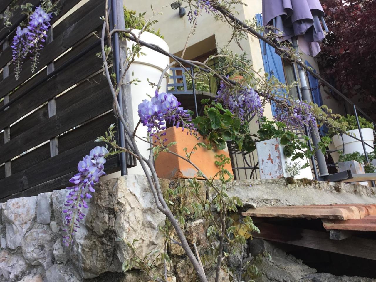 Skylark Bed&Breakfast Grasse Eksteriør bilde