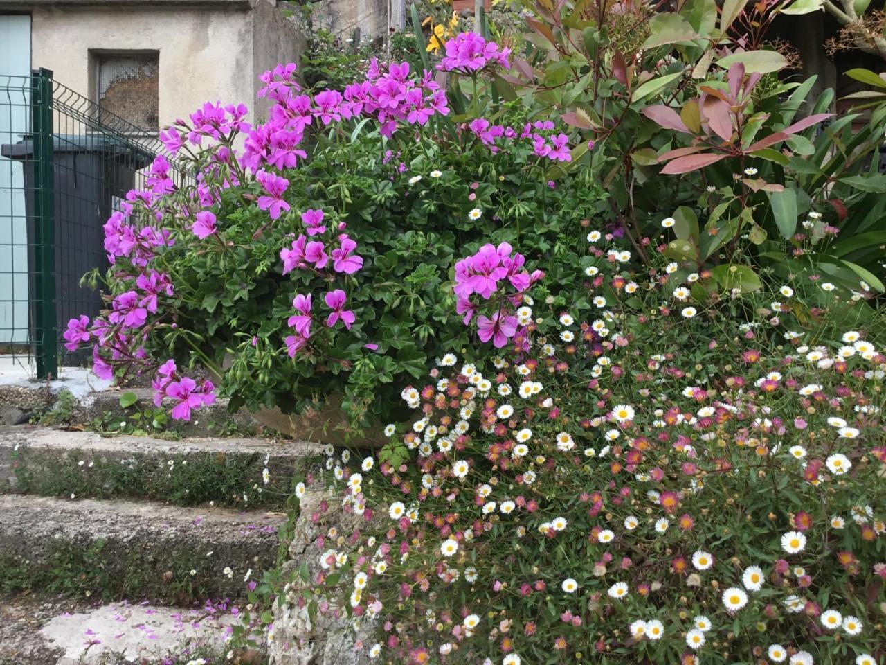 Skylark Bed&Breakfast Grasse Eksteriør bilde