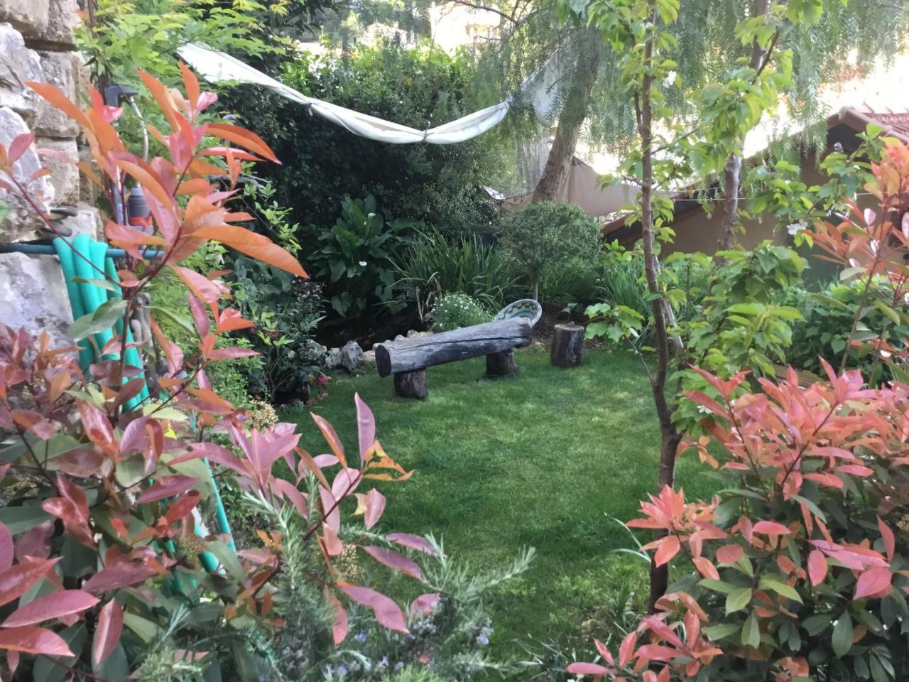 Skylark Bed&Breakfast Grasse Eksteriør bilde